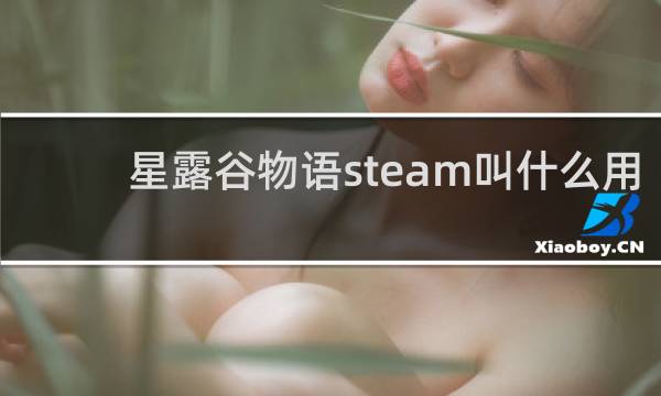 星露谷物语steam叫什么用