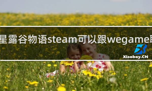 星露谷物语steam可以跟wegame联机吗