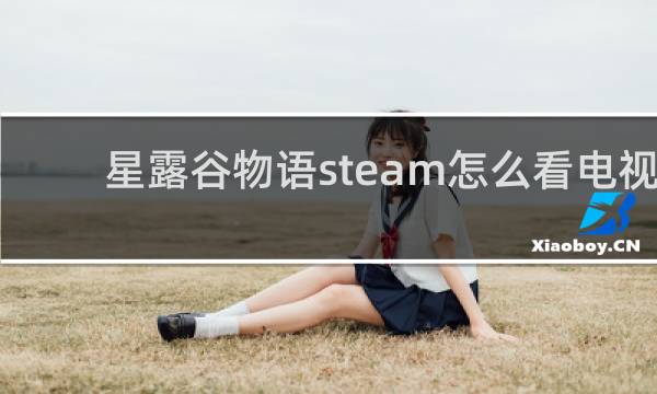 星露谷物语steam怎么看电视
