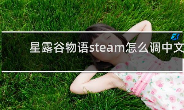 星露谷物语steam怎么调中文
