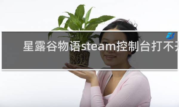 星露谷物语steam控制台打不开