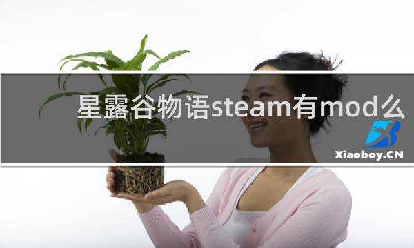 星露谷物语steam有mod么