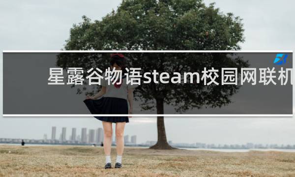 星露谷物语steam校园网联机