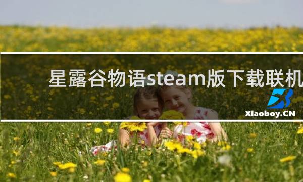 星露谷物语steam版下载联机