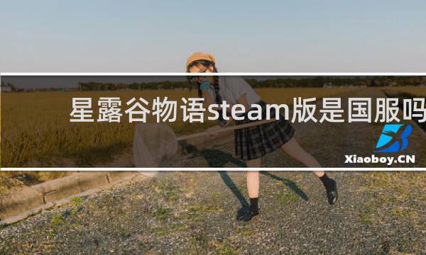 星露谷物语steam版是国服吗