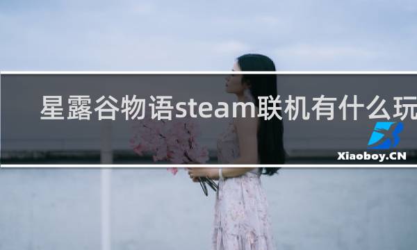 星露谷物语steam联机有什么玩法