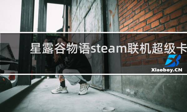 星露谷物语steam联机超级卡