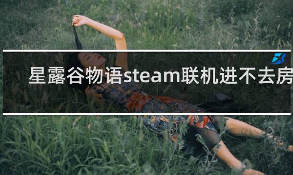 星露谷物语steam联机进不去房间
