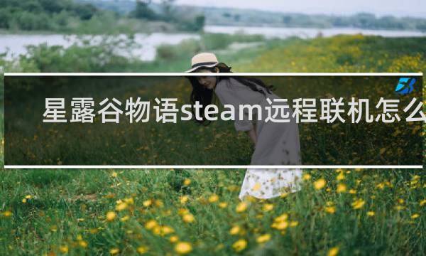 星露谷物语steam远程联机怎么用