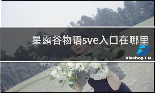 星露谷物语sve入口在哪里