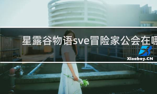 星露谷物语sve冒险家公会在哪