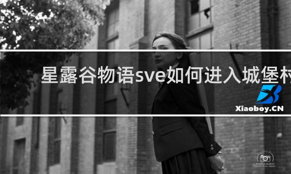星露谷物语sve如何进入城堡村