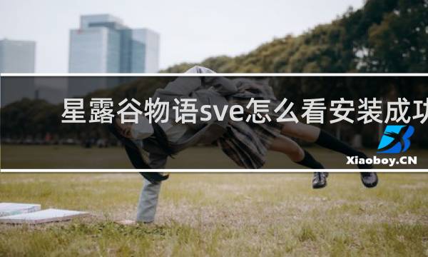星露谷物语sve怎么看安装成功