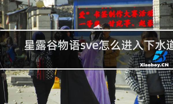 星露谷物语sve怎么进入下水道