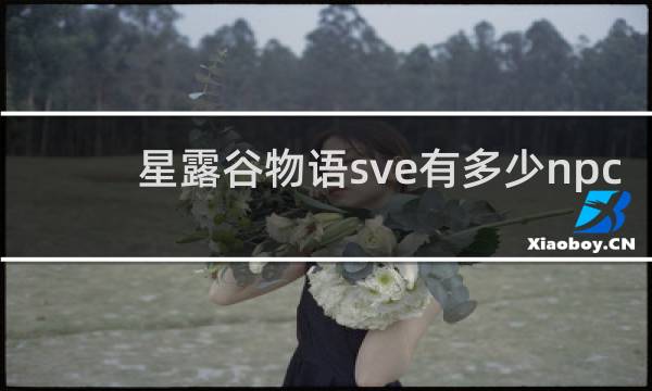 星露谷物语sve有多少npc