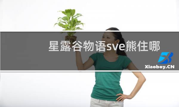 星露谷物语sve熊住哪