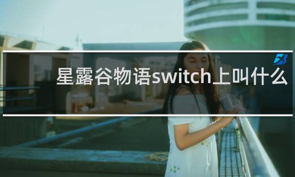 星露谷物语switch上叫什么