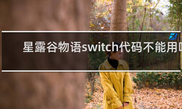 星露谷物语switch代码不能用吗