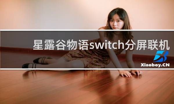 星露谷物语switch分屏联机