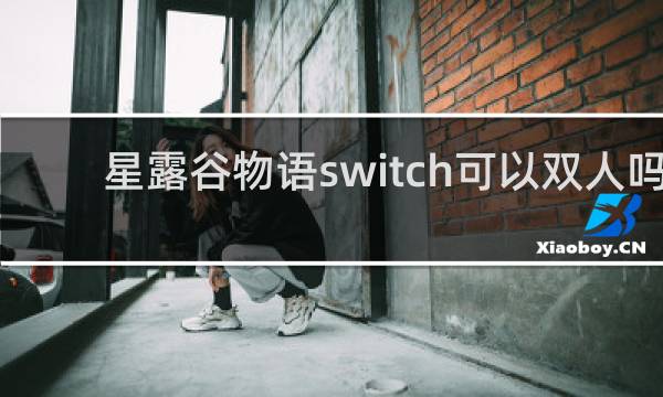 星露谷物语switch可以双人吗