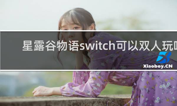 星露谷物语switch可以双人玩吗