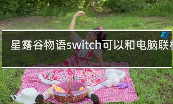 星露谷物语switch可以和电脑联机吗