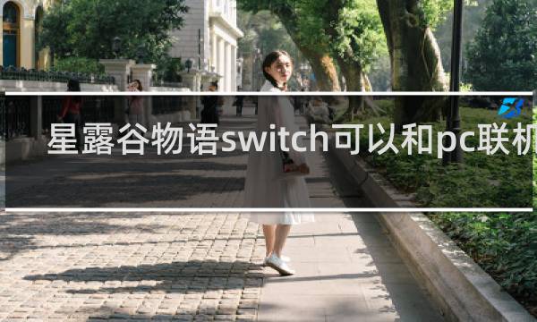 星露谷物语switch可以和pc联机吗