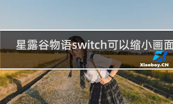 星露谷物语switch可以缩小画面吗