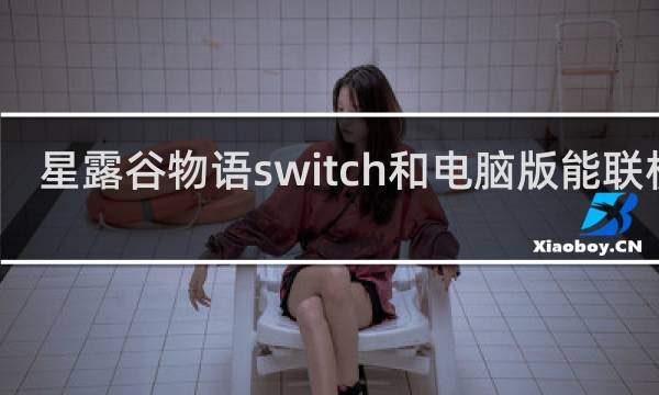 星露谷物语switch和电脑版能联机吗