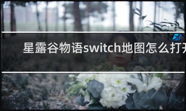 星露谷物语switch地图怎么打开