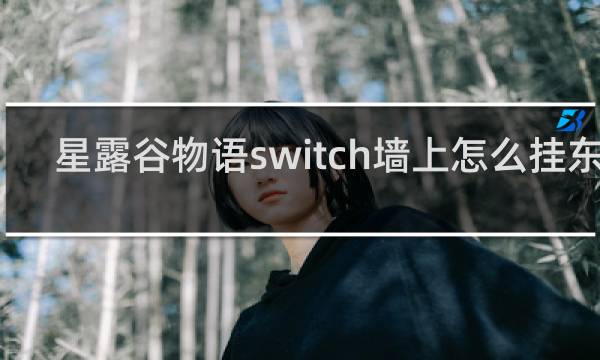 星露谷物语switch墙上怎么挂东西
