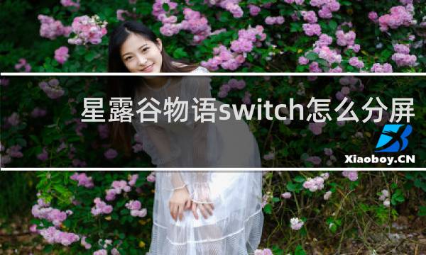 星露谷物语switch怎么分屏