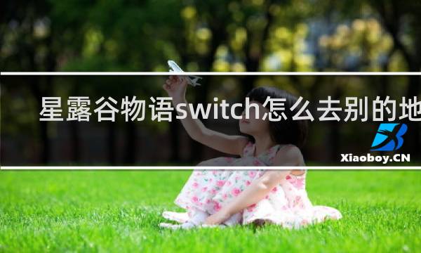星露谷物语switch怎么去别的地方