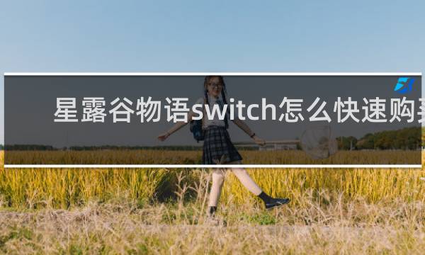 星露谷物语switch怎么快速购买