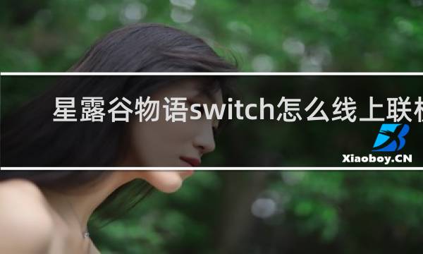 星露谷物语switch怎么线上联机