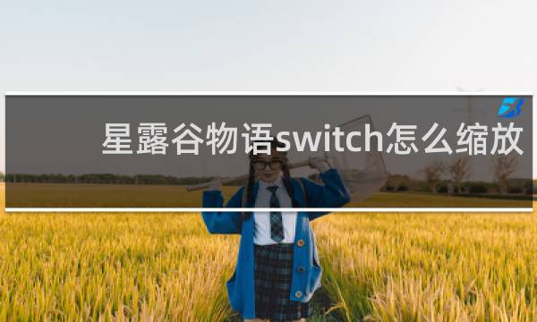 星露谷物语switch怎么缩放