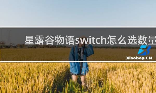 星露谷物语switch怎么选数量