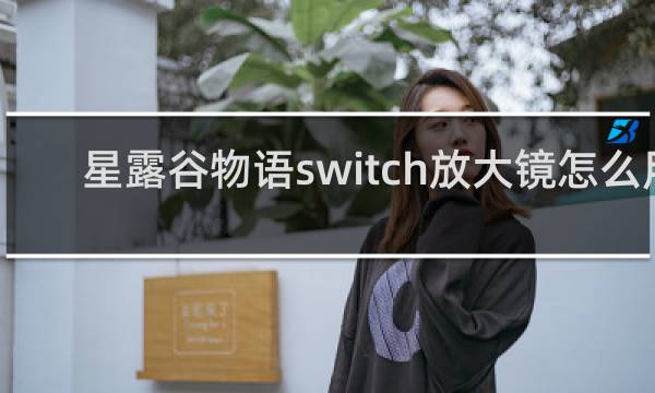 星露谷物语switch放大镜怎么用
