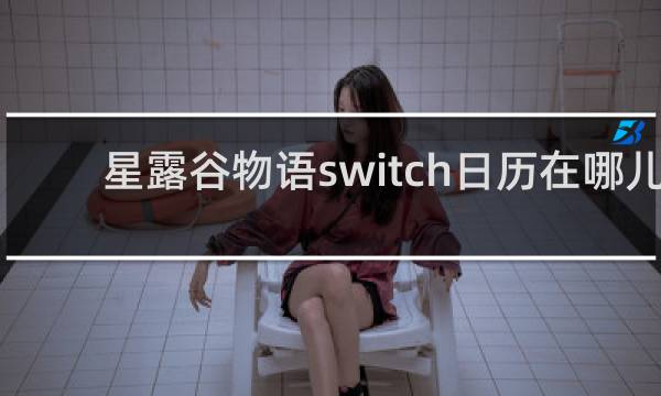 星露谷物语switch日历在哪儿