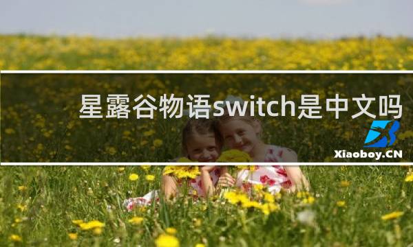 星露谷物语switch是中文吗