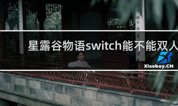 星露谷物语switch能不能双人