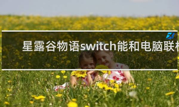 星露谷物语switch能和电脑联机