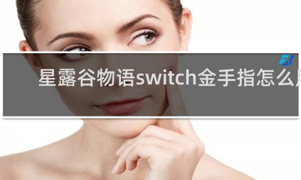 星露谷物语switch金手指怎么用