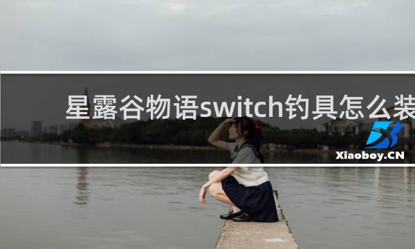 星露谷物语switch钓具怎么装