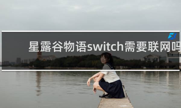 星露谷物语switch需要联网吗