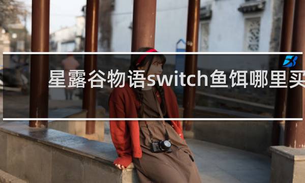 星露谷物语switch鱼饵哪里买