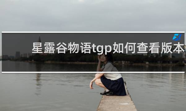 星露谷物语tgp如何查看版本