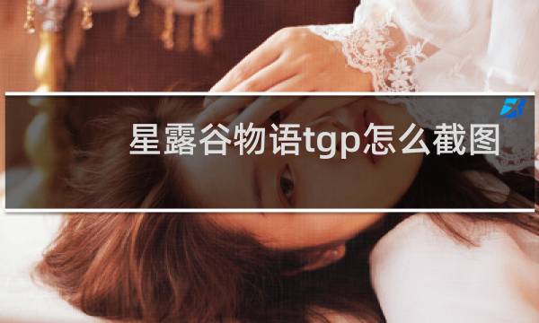 星露谷物语tgp怎么截图