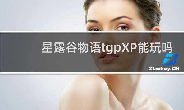 星露谷物语tgpXP能玩吗