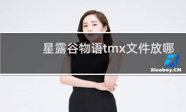 星露谷物语tmx文件放哪